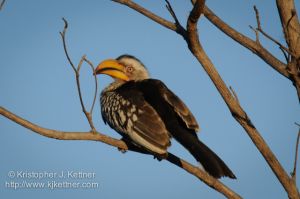 20110803-3900.jpg