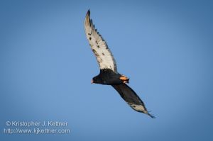 20110804-4220.jpg