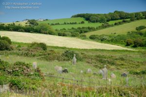 20110619-1283.jpg
