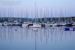 20110619-1350.jpg