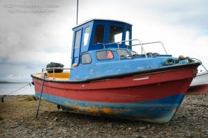 20110622-2054.jpg