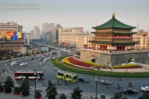 20101015-4183.jpg