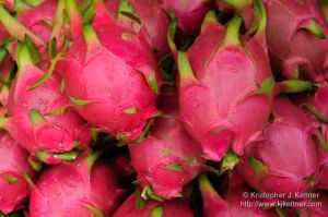 20101023-5331.jpg