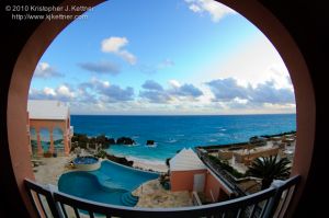 20100316-1782.jpg