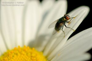 20100824-3252.jpg