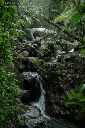 20090211-2237.jpg
