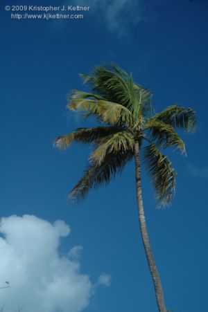 20090212-2312.jpg