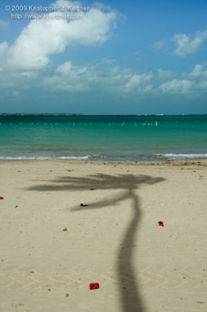 20090212-2326.jpg
