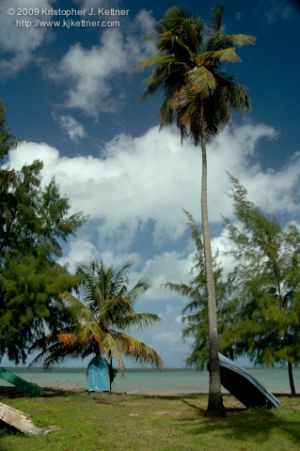 20090212-2374.jpg