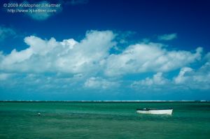 20090212-2414.jpg