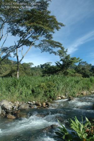 20070828-0096.jpg