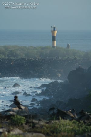 20070326-1018.jpg