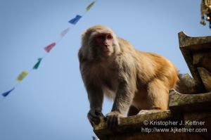 20120314-2448.jpg