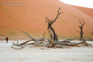 20110730-3216.jpg