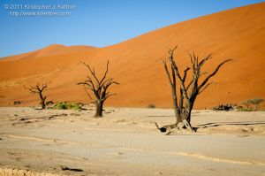 20110730-3249.jpg