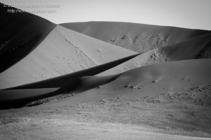 20110730-3445.jpg