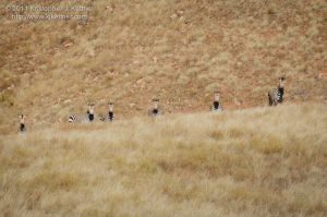 20110731-3696.jpg