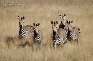 20110731-3724.jpg